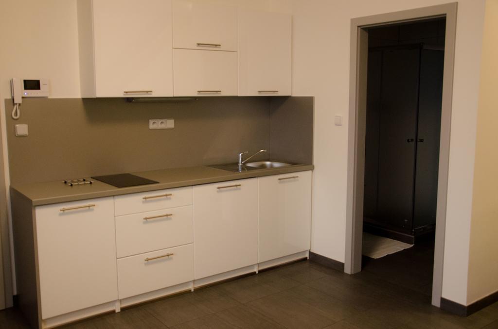 Apartment Lidicka Slavkov, 4 Person สลาฟโกฟ อู เบอร์นา ภายนอก รูปภาพ